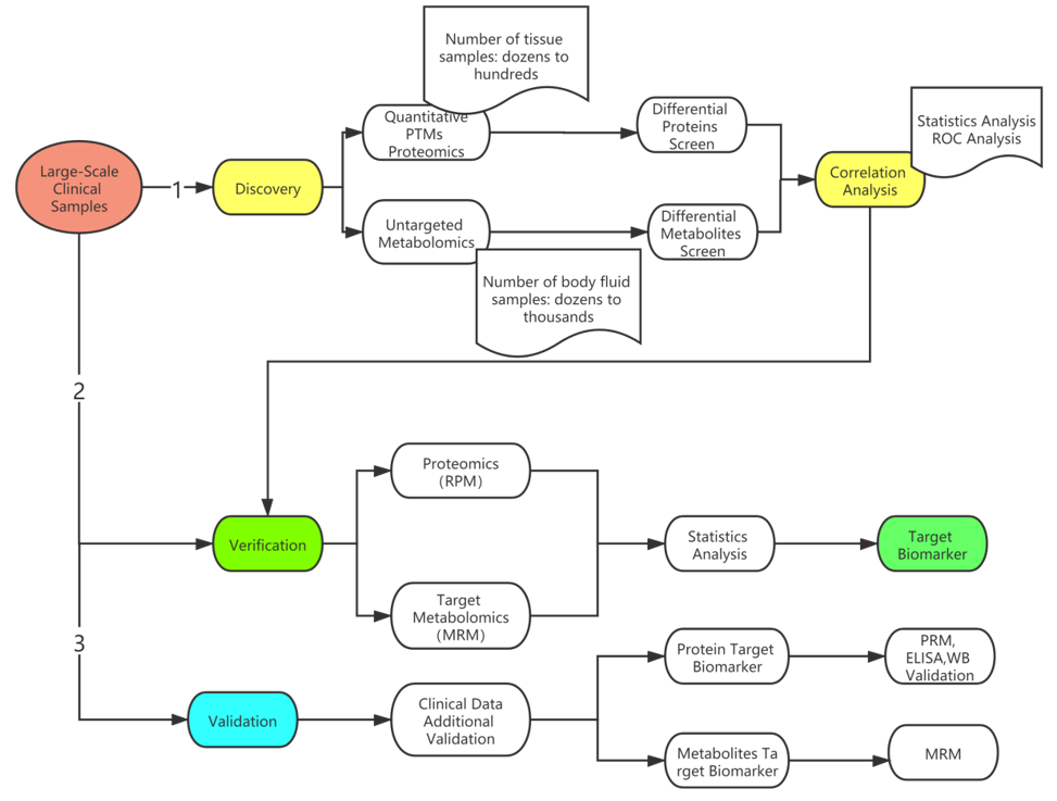 https://www.creative-proteomics.com/ngpro/upload/image/biomarker-proteomics-solutions-1.png