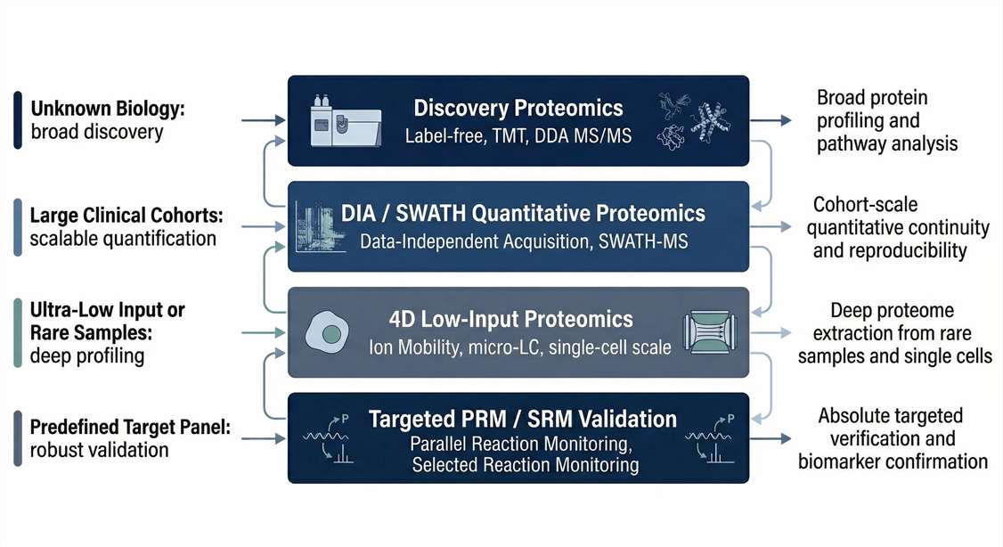 NGPro platform route map showing the translational workflow from discovery proteomics to targeted validation