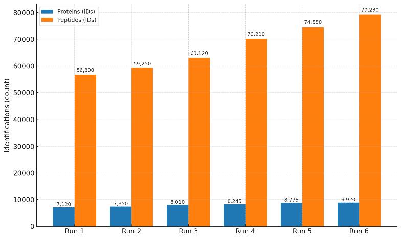 Bar chart showing protein and peptide identification counts across multiple runs.