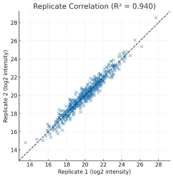 Scatter plot of replicate protein intensities with high correlation and R² annotation.