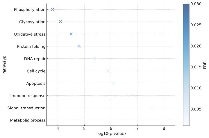 Bubble plot of top enriched pathways showing -log10(p-value) on the x-axis, pathways on the y-axis, bubble size for protein count, and color scale for FDR.