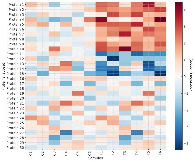 Heatmap of protein expression patterns across control and treated sample groups.