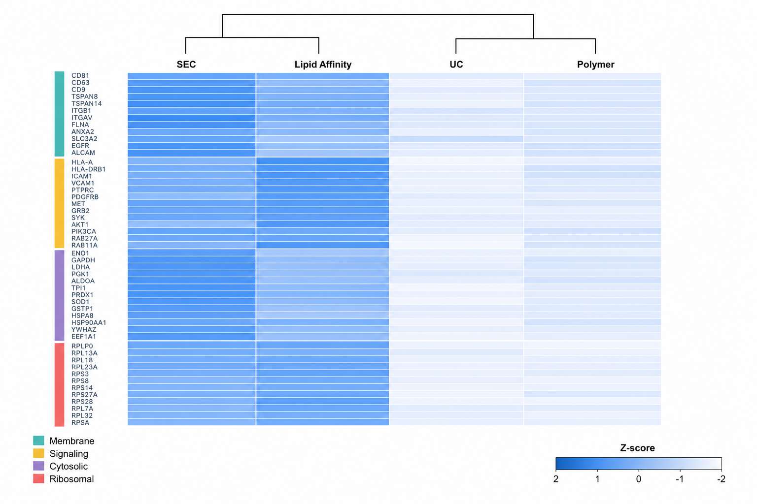 EV enrichment method comparison: SEC vs affinity vs UC protein yield