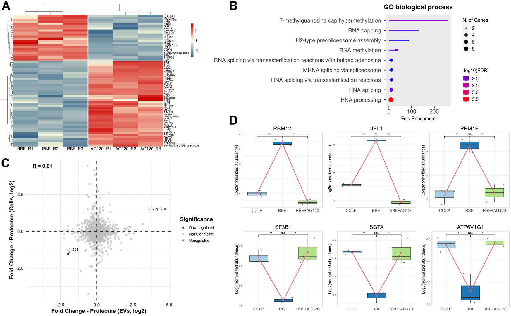 IDH1 mutation and inhibitor-driven EV proteome changes in cholangiocarcinoma