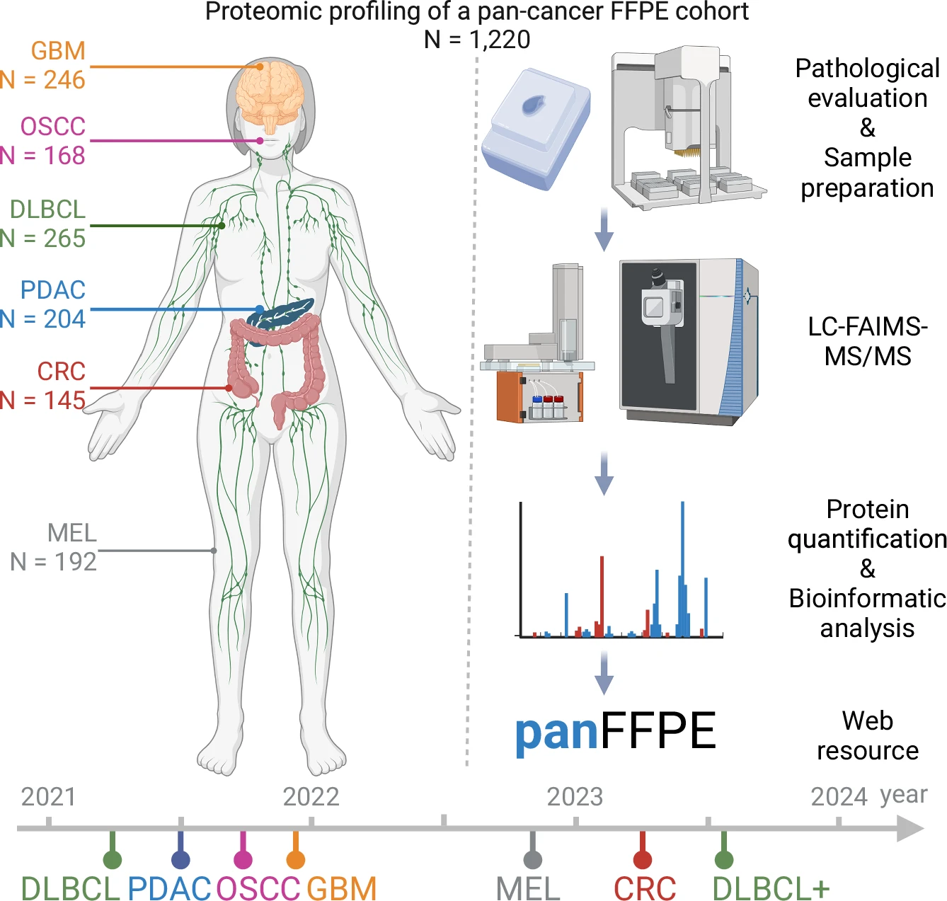 Study design: 1,220 FFPE tumor specimens across 6 cancer types processed by DIA proteomics