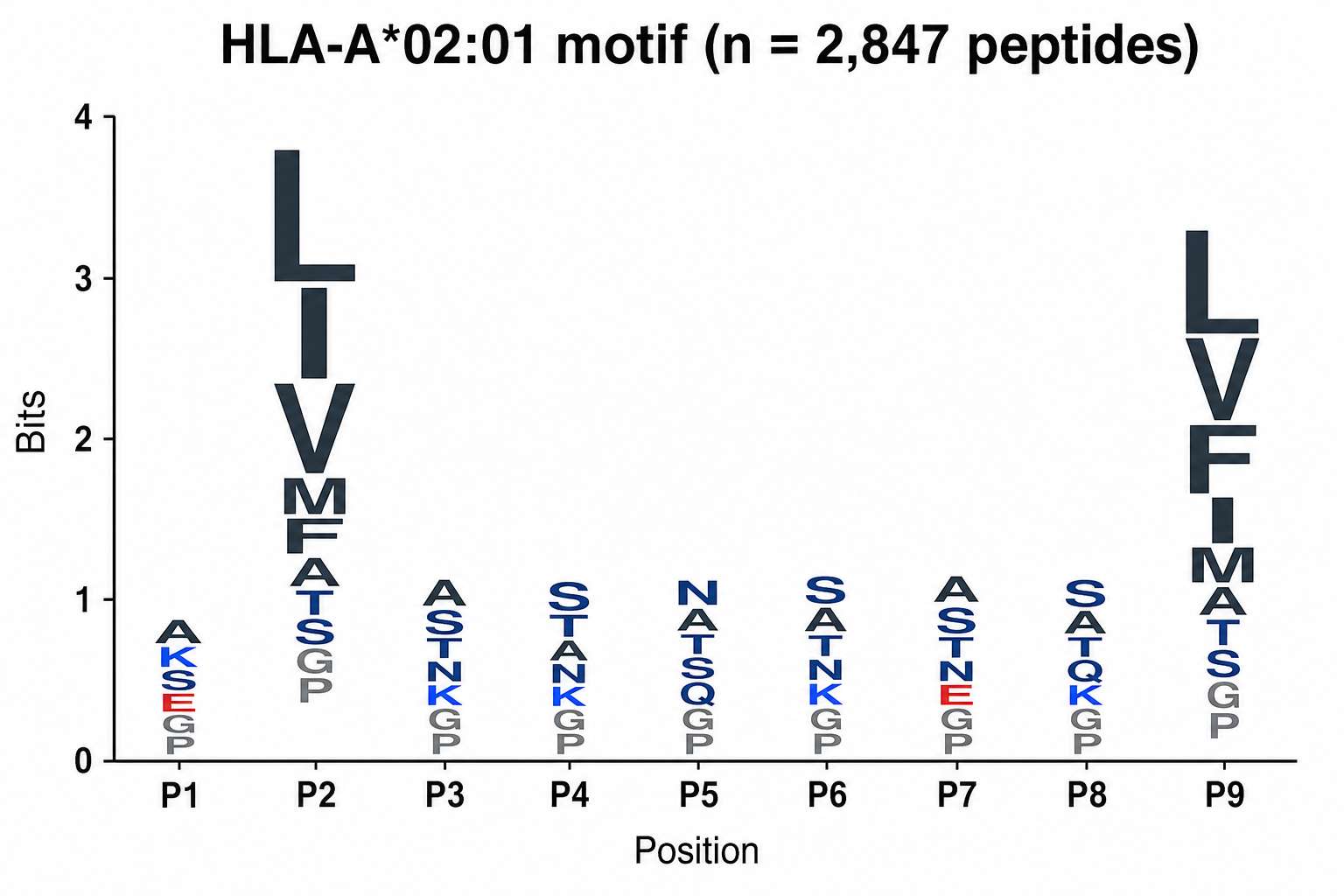 HLA binding motif sequence logo showing anchor residue preferences