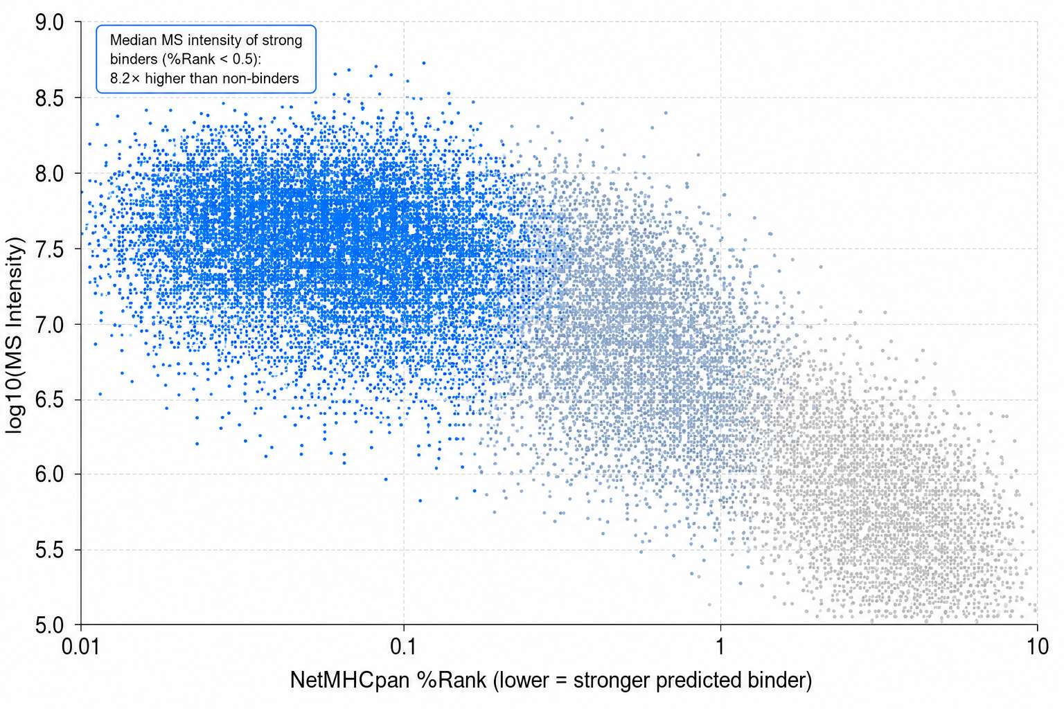 Scatter plot: predicted binding affinity vs MS-observed intensity