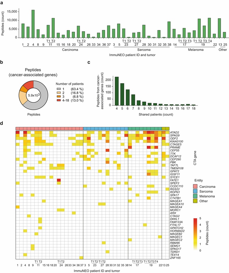 HLA-I immunopeptidome data: thousands of peptides identified per tumor, annotated by source