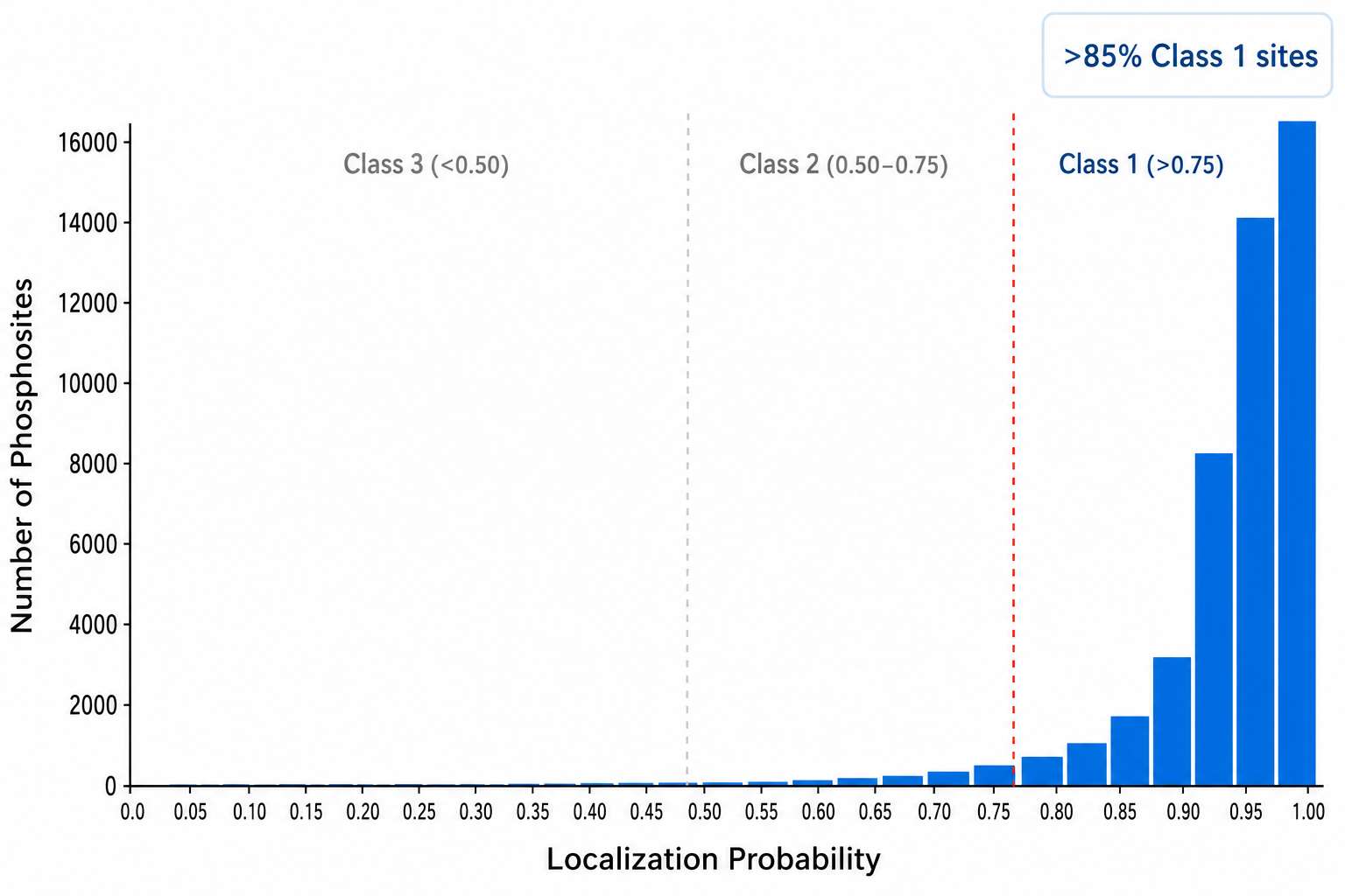 Class 1 phosphosite localization probability distribution