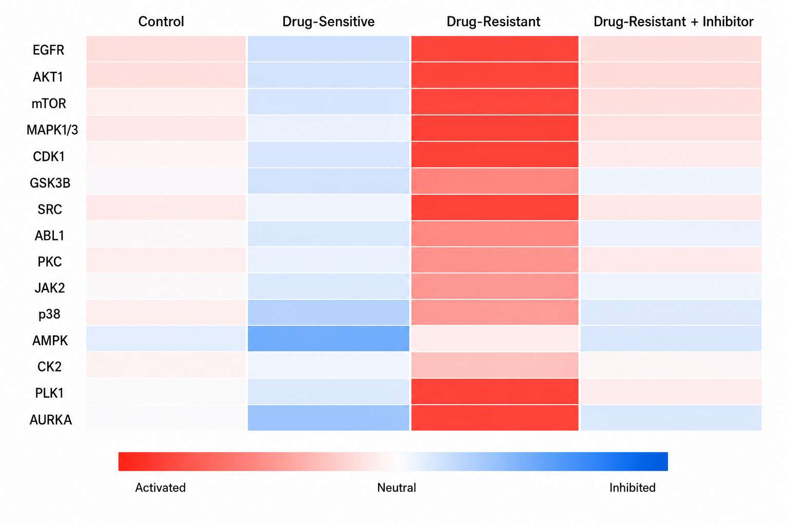 KSEA kinase activity heatmap across conditions