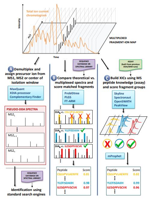 Avoiding Failure in DIA Proteomics: Common Pitfalls and How to Fix Them