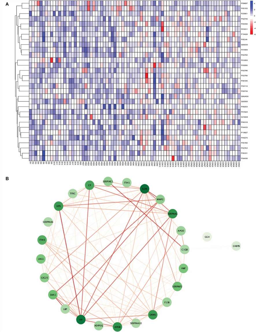 Heatmap and protein-protein interaction network of significantly differentially expressed proteins in total stroke versus healthy controls (Figure 3)