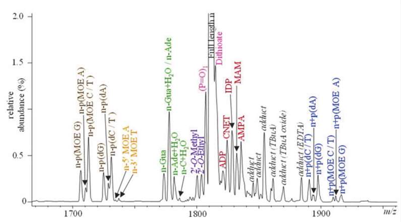 Fig. 1. Identification of co-eluting impurities in mass spectrum of IP-LCMS.