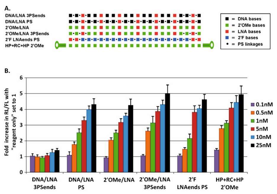 Fig. 1. A direct comparison of the potency of miR16 AMOs.