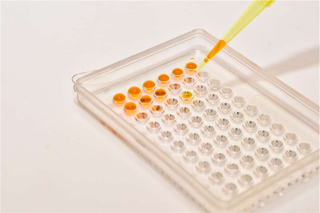 Quantification and Potency Determination of DNA and RNA Drugs