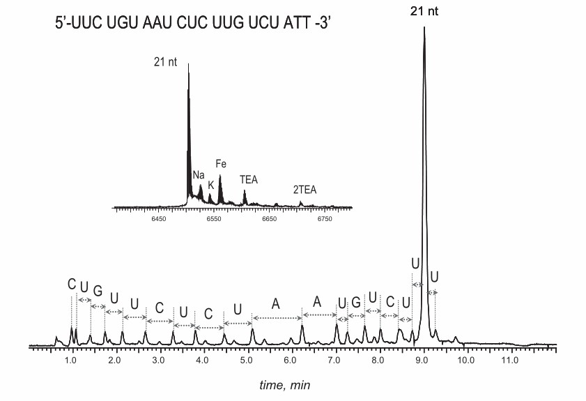 Fig. 1. UPLC/MS of RNA, demonstrating separation of failed sequences and by-products.