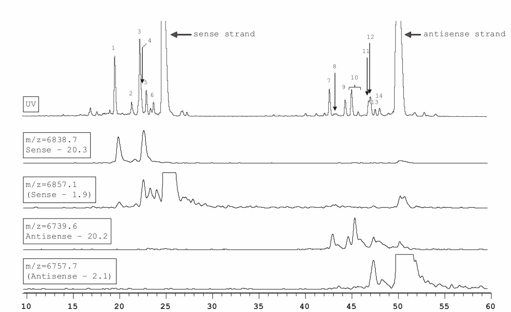 Fig. 1. Overlay of UV and extracted ion chromatograms for solid sample purged with nitrogen and stored at 60°C.