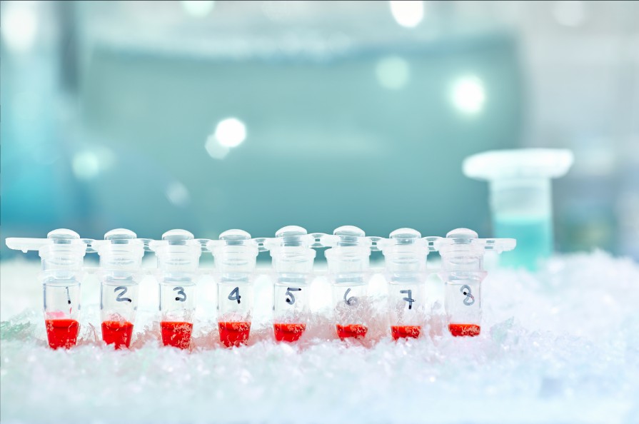 Accelerated Stability Studies of DNA and RNA Drugs