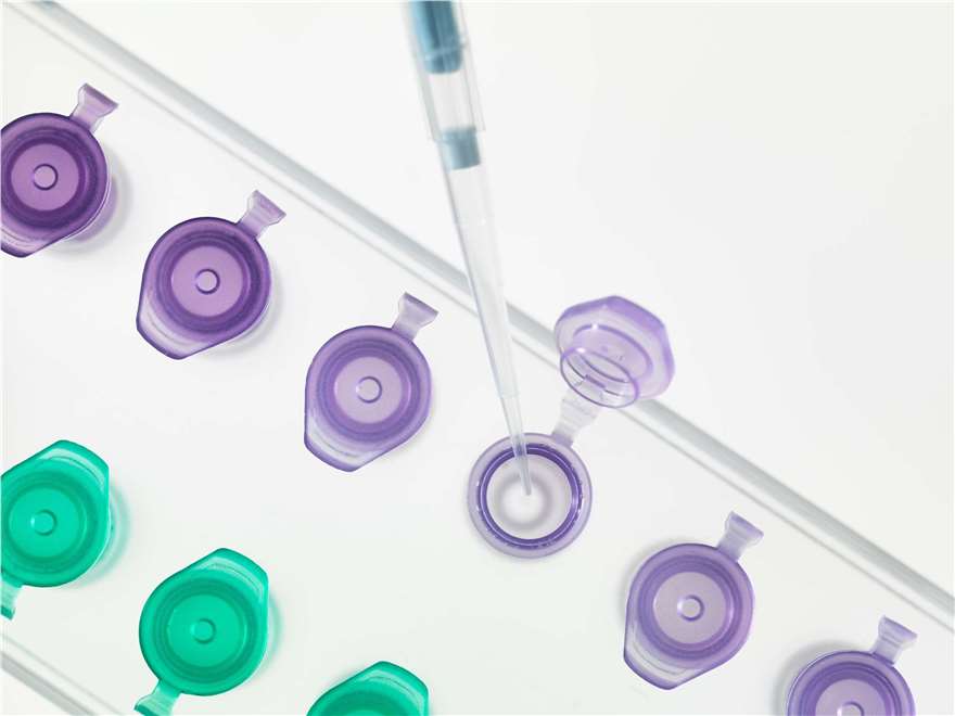 DNA and RNA Drug Stability Studies