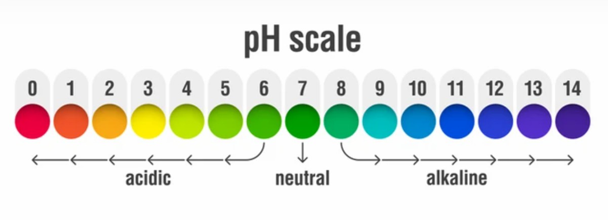 pH Testing Service of DNA and RNA Drugs
