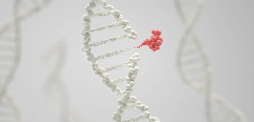 Identification of Genetic Mutations