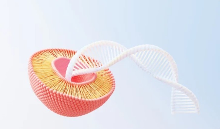 Analysis of Gene Expression Patterns