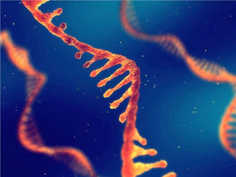 Therapeutic mRNA Drug Stability Studies