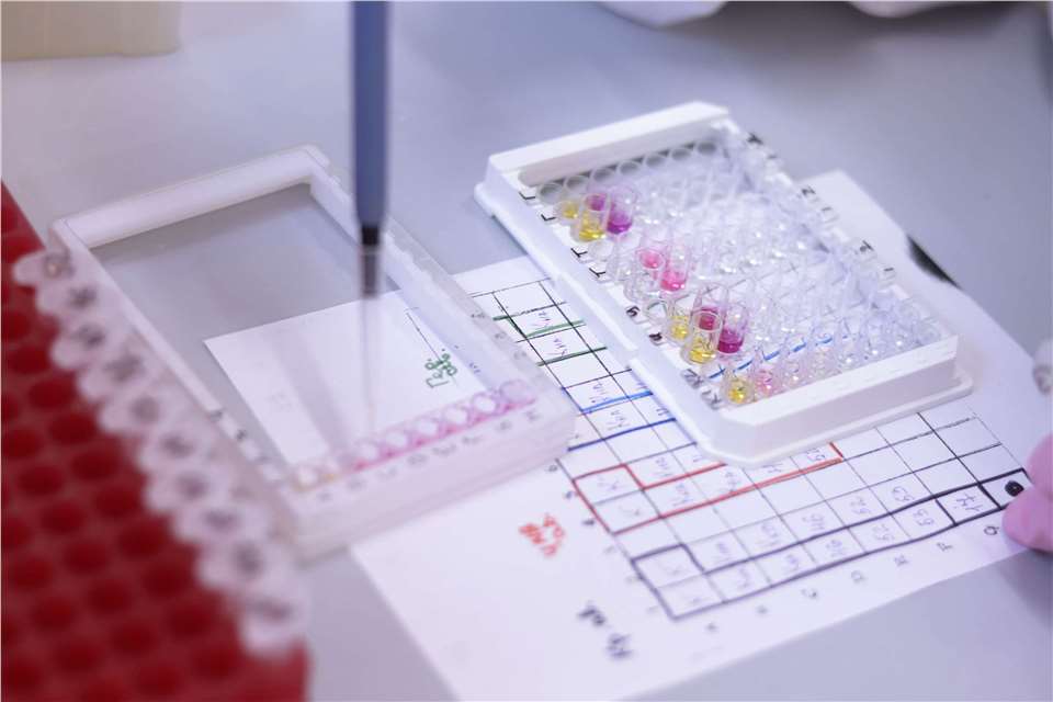 Characterization of DNA and RNA Based Vaccines