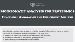 Bioinformatic Analysis for Proteomics—Functional Annotation and Enrichment Analysis