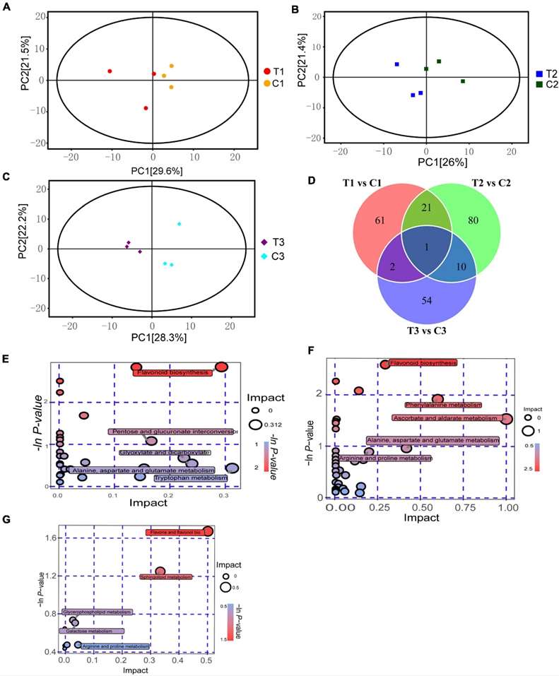 Figure 1 Metabolomics analysis on P. cyrtonema seeds at various stages