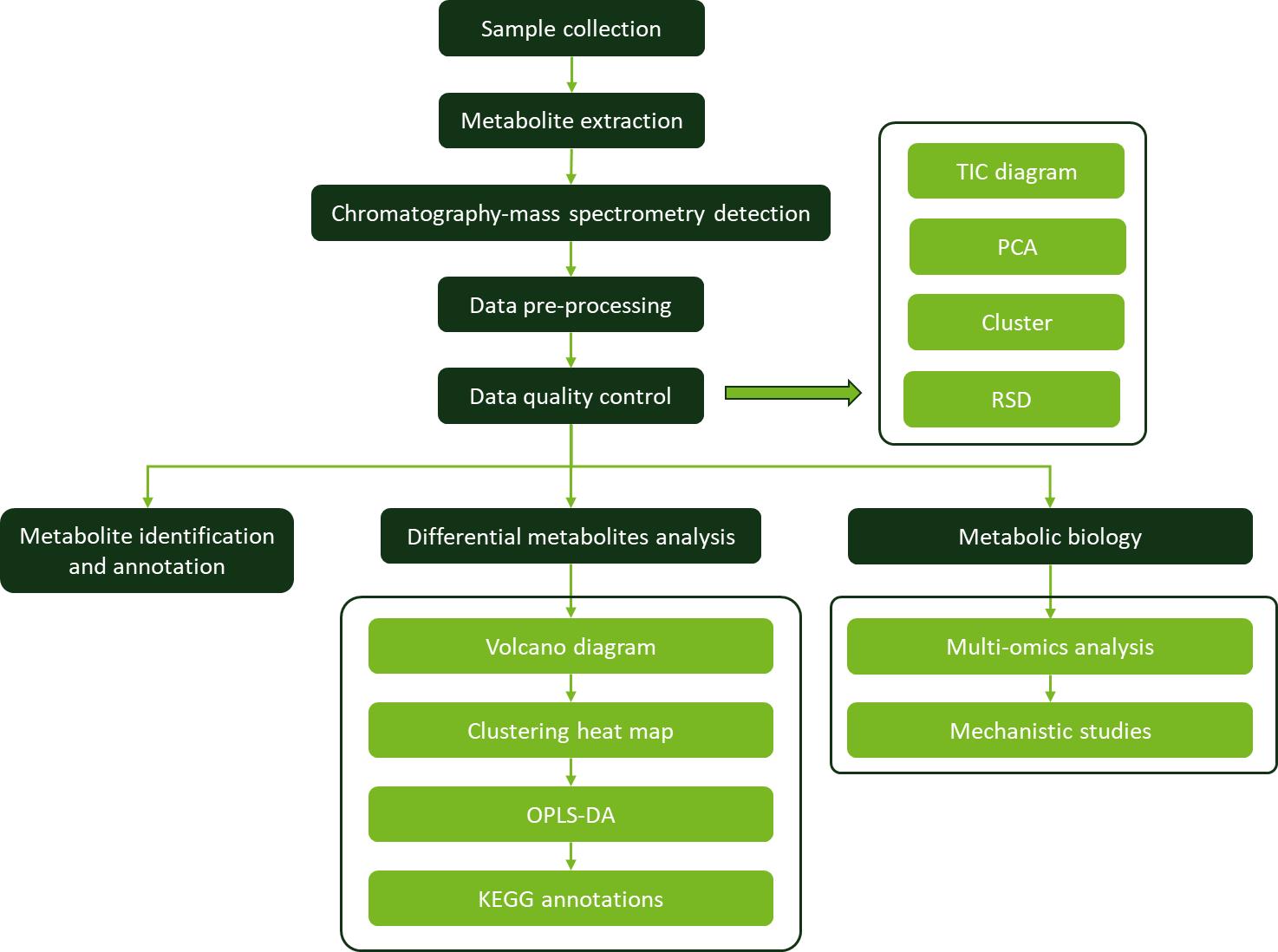 Workflow for Plant Metabolomics Service