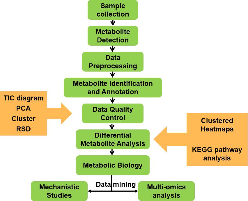 Workflow for Cryptoxanthins Analysis Service