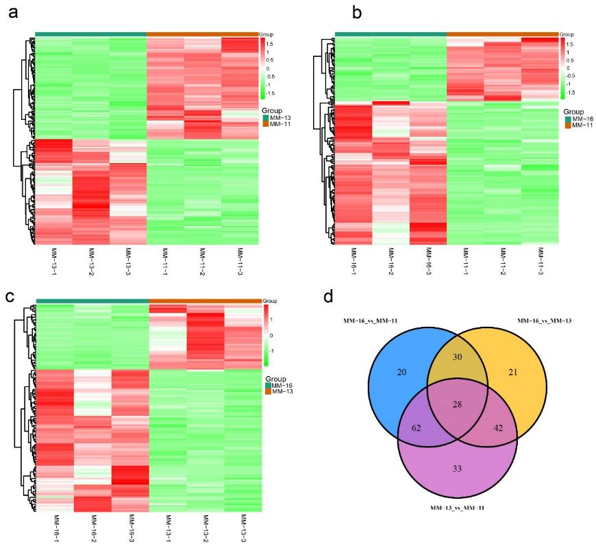 Figure 1 Three kiwifruit varieties differentially metabolites analysis