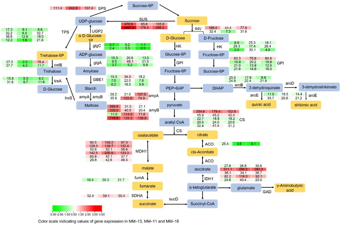 Figure 2 F Transcript profiling of genes in mature kiwifruit