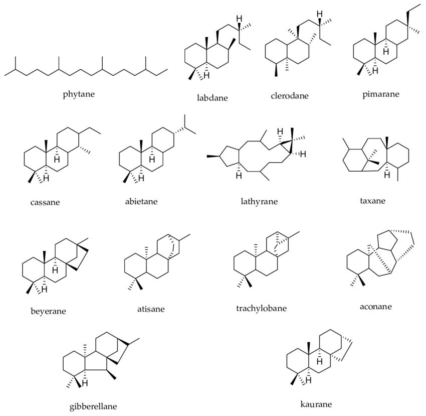 Common diterpene skeletal types.