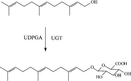 Structures of farnesol and the farnesyl glucuronide product