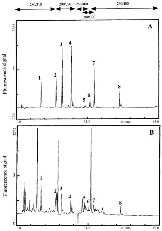 Chromatographic profiles using fluorescence detection for a standard mixture of polyphenols (A) and a directly injected sample of red wine (B)