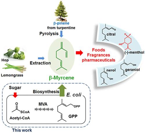 Microbial synthesis of myrcene