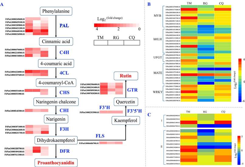 Figure 1 Genes and transcription factors expression changes under cold stress