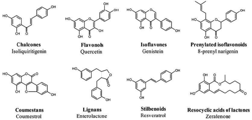 Molecular structure of the most ubiquitous phytoestrogens