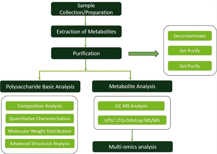 Workflow of Polysaccharide Metabolism Analysis Service