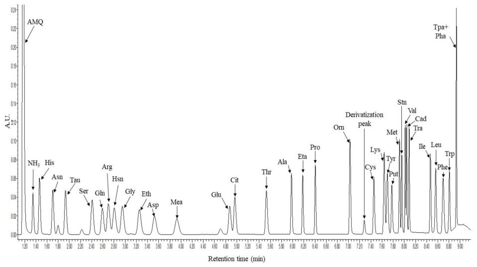 Chromatogram showing separation of 33 derivatized amino acids and biogenic amines.