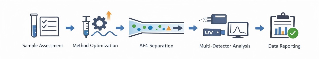 Creative Proteomics’ SV-AUC workflow.