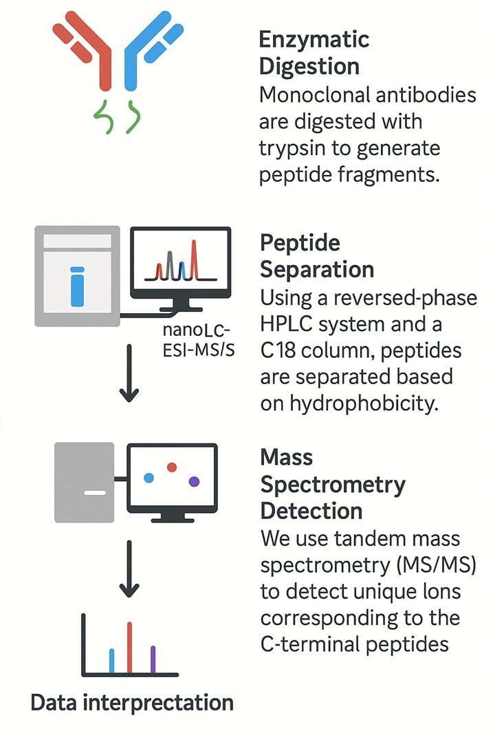 Detect workflow of C-Terminal Lysine Variants