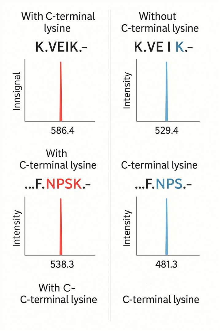 Demo Sample of C-Terminal Lysine Variants