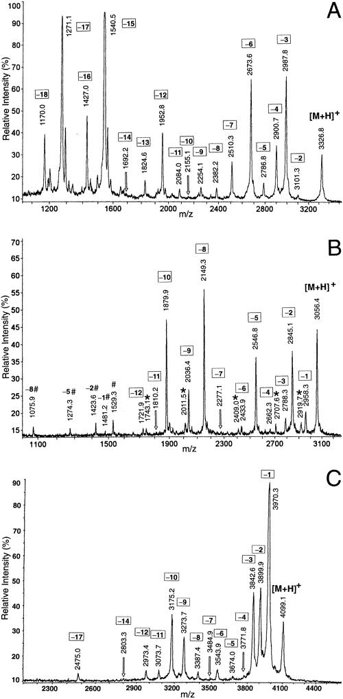 C-terminal sequence analysis of underivatized peptides using MALDI-MS.