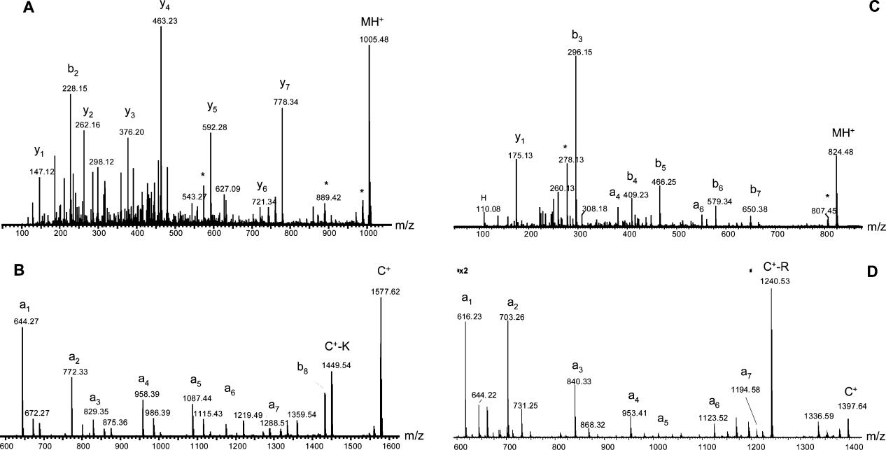 MALDI Q-TOF tandem mass spectra of peptide.