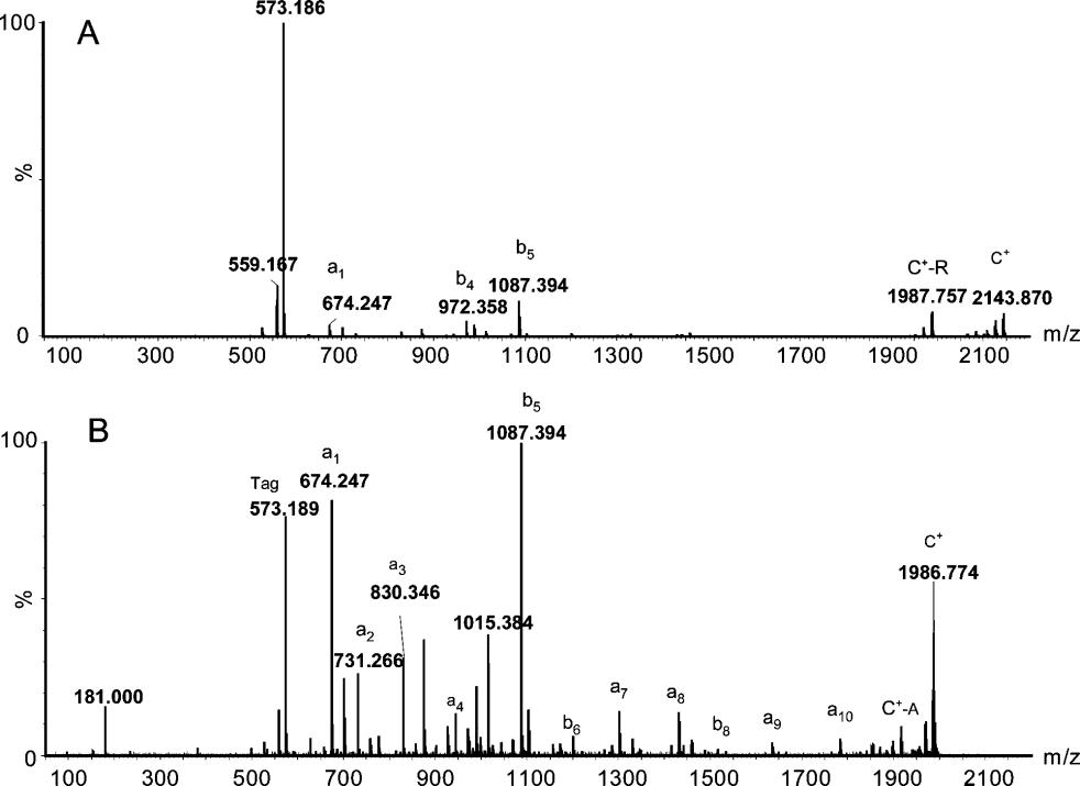 Comparison of MS/MS spectra of a peptide with and without an Arg residue.