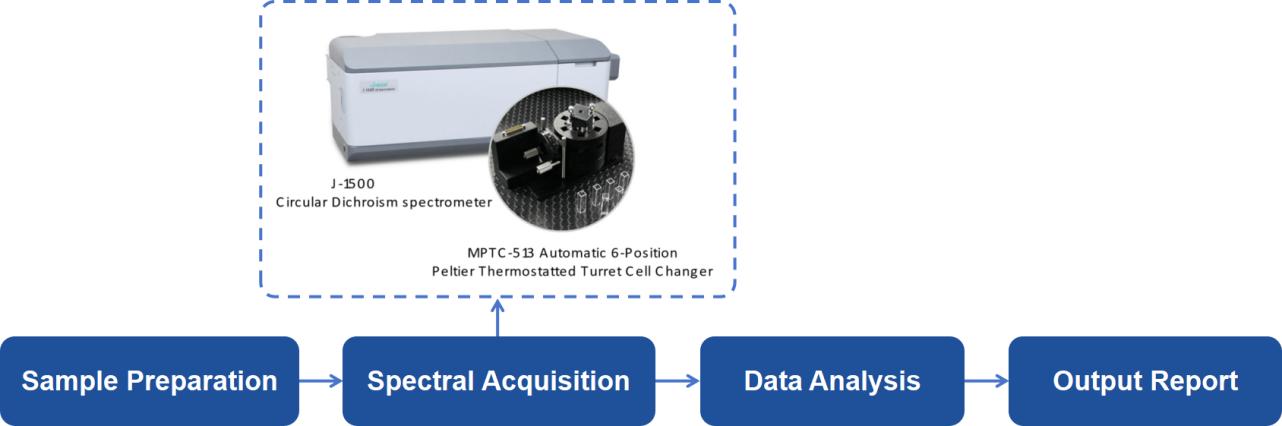 CD Spectroscopy Analysis Workflow