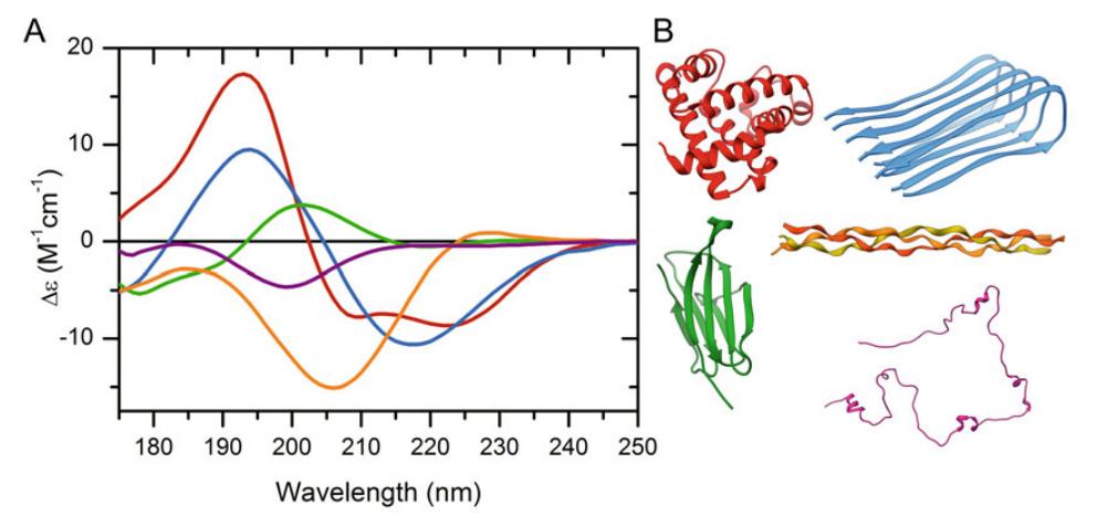 Far UV CD spectroscopy determine the secondary structure of proteins.